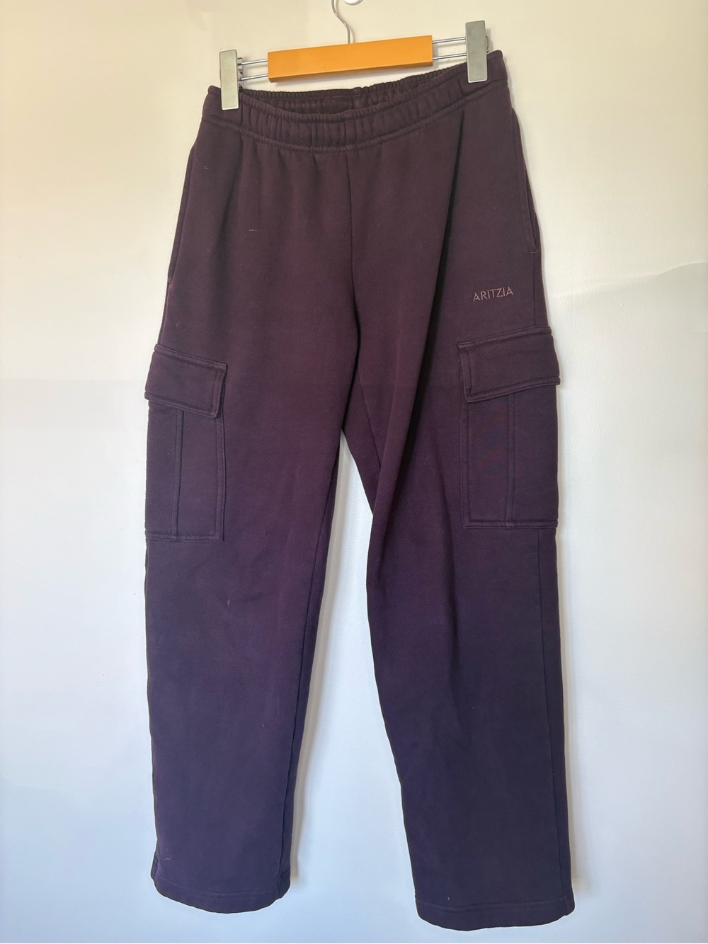 Aritzia Plum Cargo Joggers